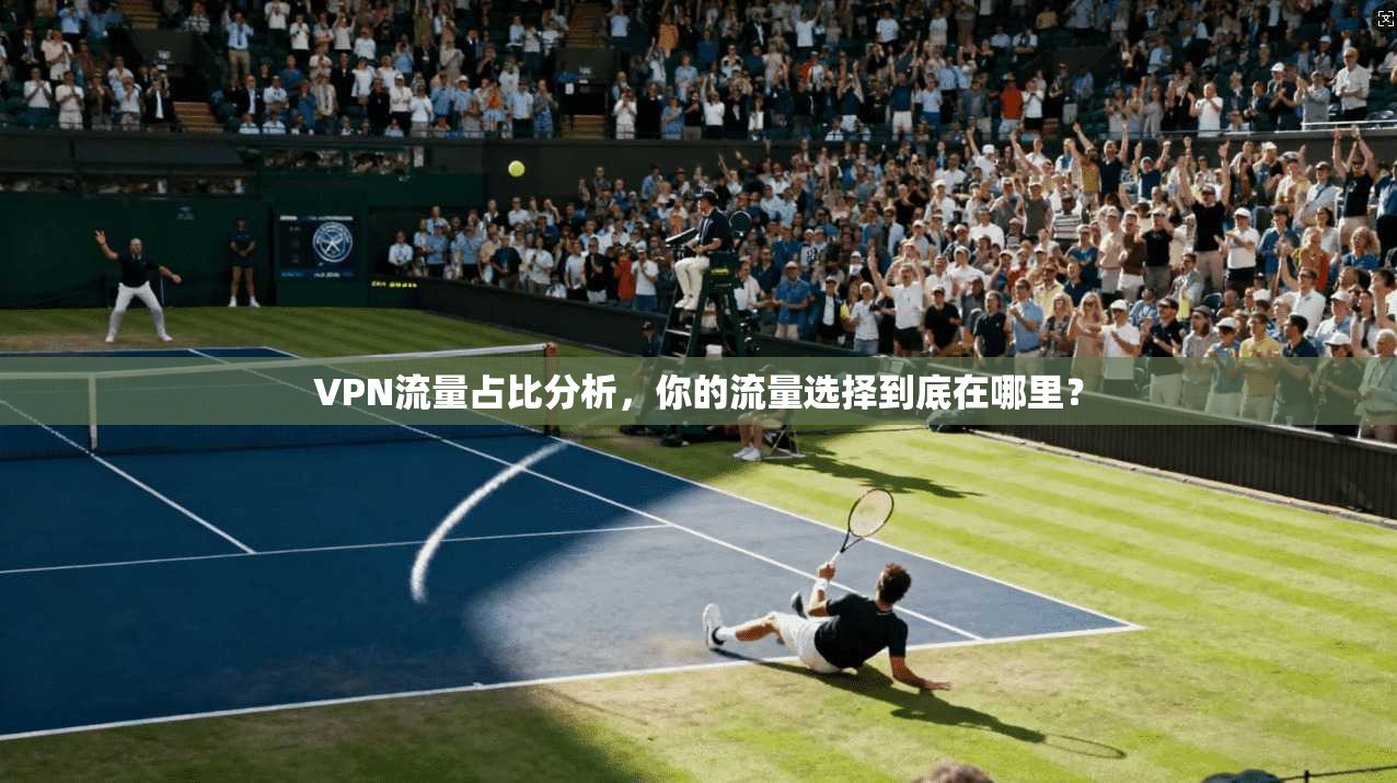 VPN流量占比分析,你的流量选择到底在哪里?