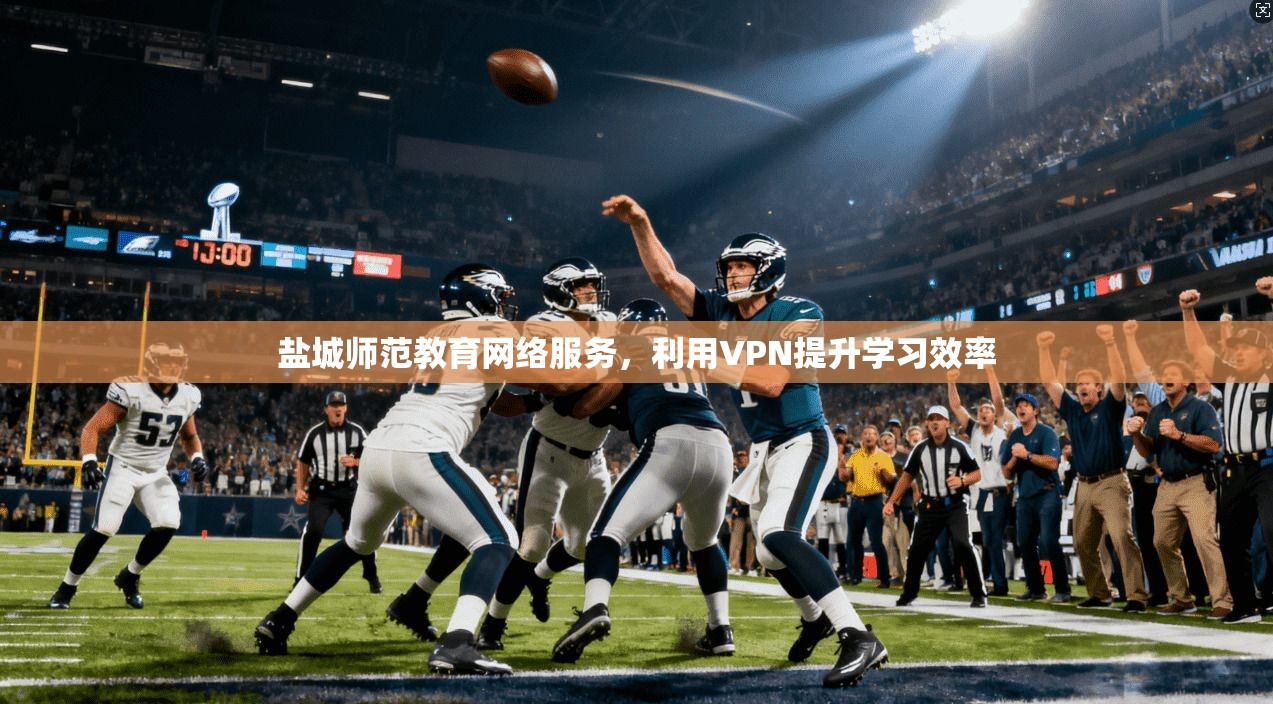 盐城师范教育网络服务，利用VPN提升学习效率  第1张