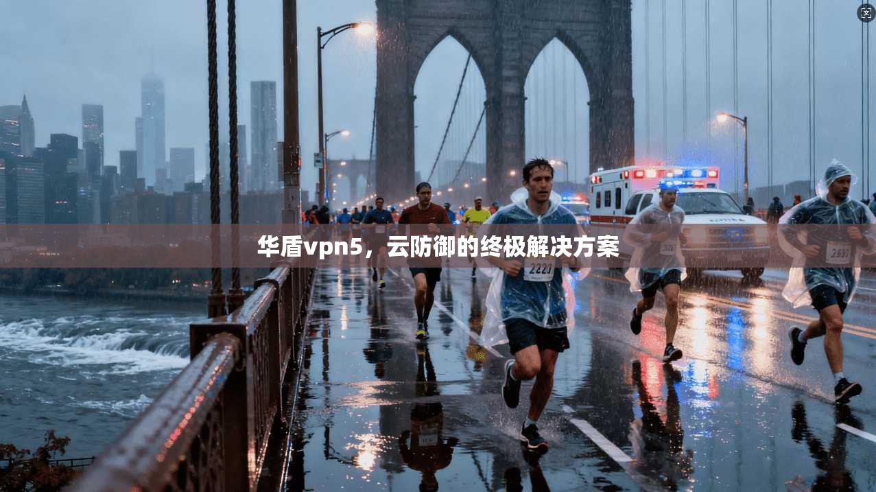 华盾vpn5,云防御的终极解决方案 第1张 华盾vpn5,云防御的终极解决方案 第1张