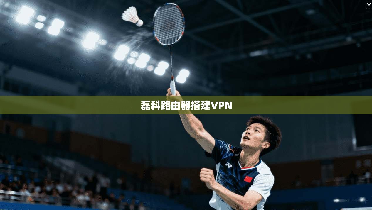 磊科路由器搭建VPN  第1张