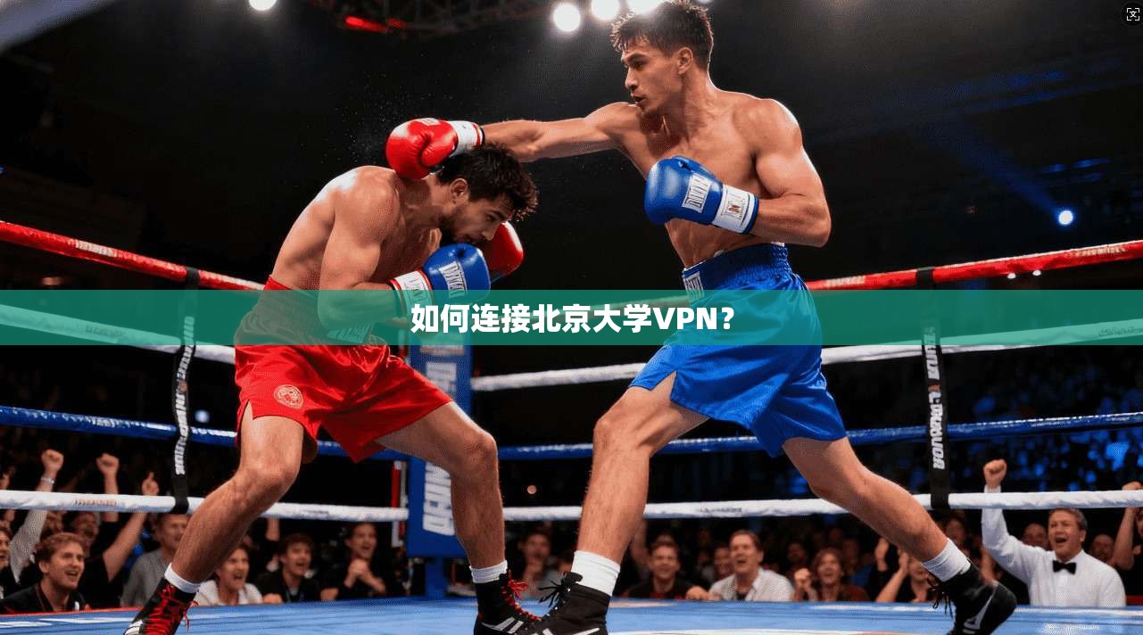 如何连接北京大学VPN？  第1张