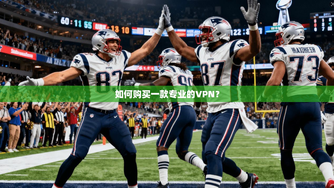 如何购买一款专业的VPN? 第1张 如何购买一款专业的VPN? 第1张
