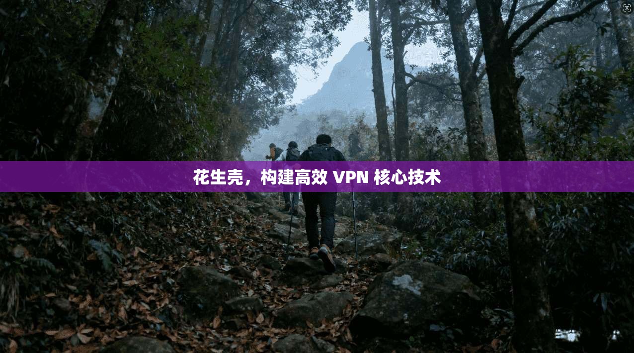 花生壳,构建高效 VPN 核心技术 第1张 花生壳,构建高效 VPN 核心技术 第1张