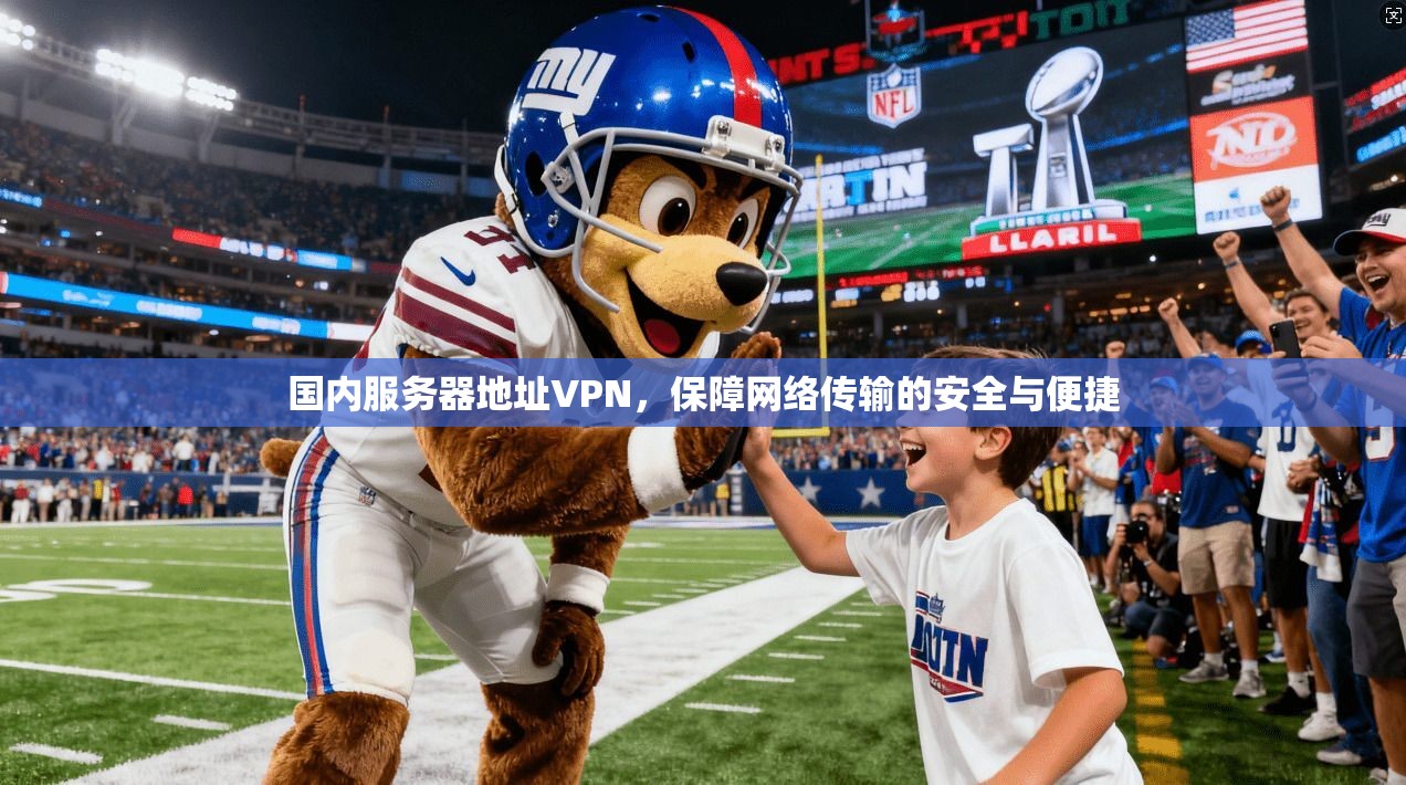 国内服务器地址VPN,保障网络传输的安全与便捷 第1张 国内服务器地址VPN,保障网络传输的安全与便捷 第1张