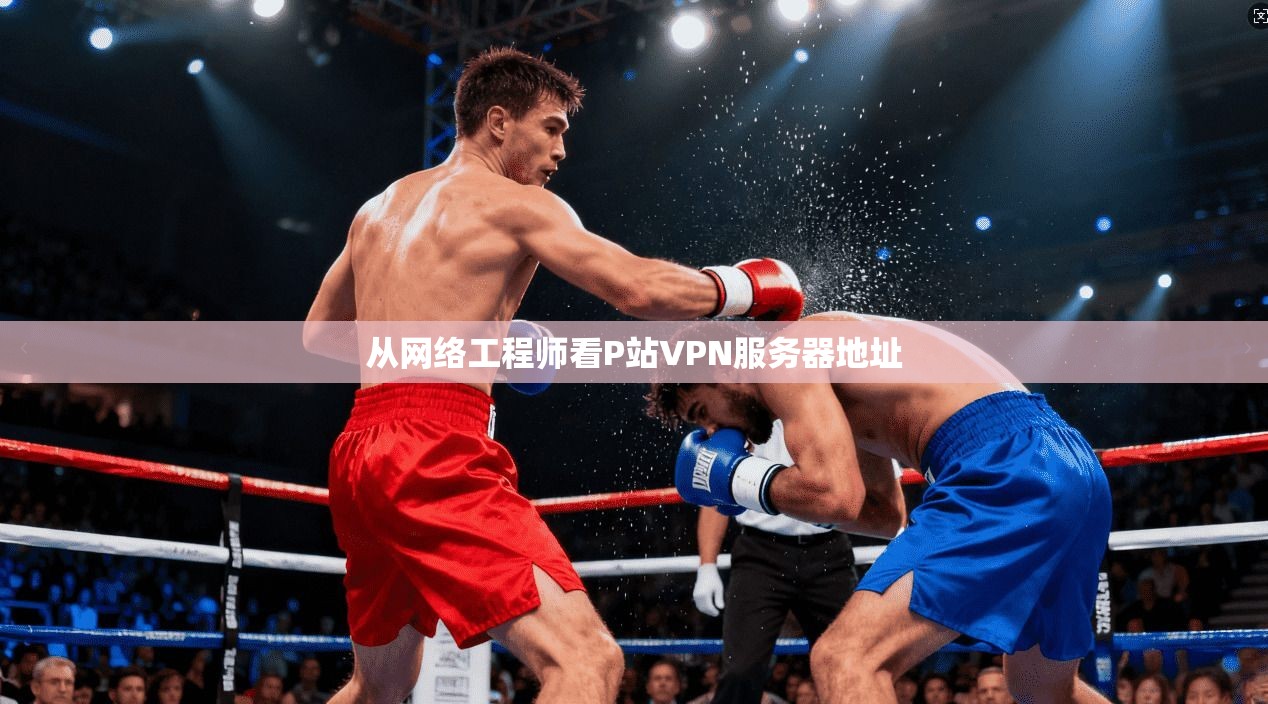 从网络工程师看P站VPN服务器地址 第1张 从网络工程师看P站VPN服务器地址 第1张