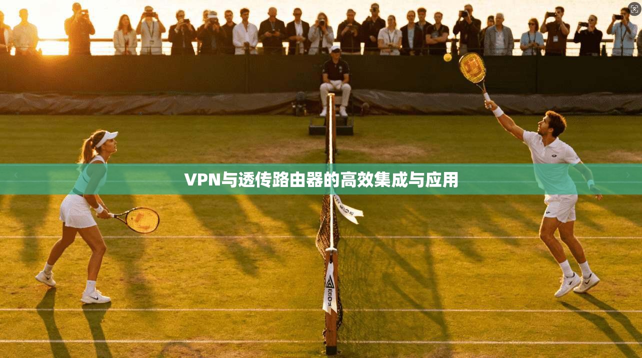 VPN与透传路由器的高效集成与应用 第1张 VPN与透传路由器的高效集成与应用 第1张
