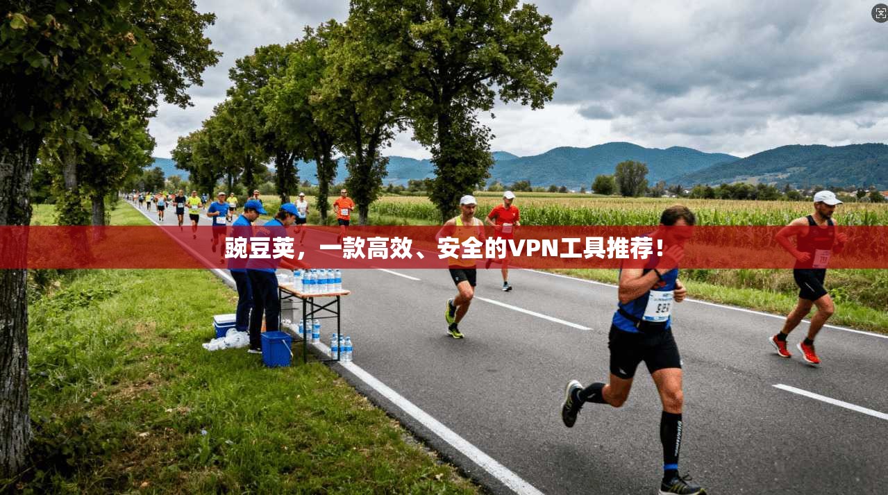 豌豆荚,一款高效、安全的VPN工具推荐! 第1张 豌豆荚,一款高效、安全的VPN工具推荐! 第1张