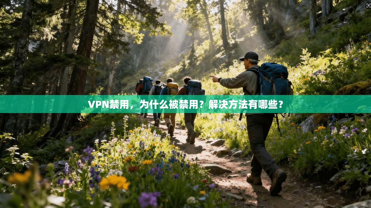 VPN禁用,为什么被禁用?解决方法有哪些? 第1张 VPN禁用,为什么被禁用?解决方法有哪些? 第1张