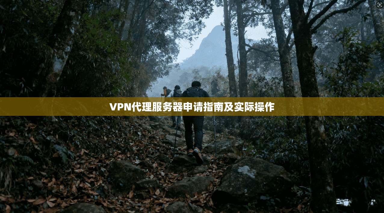 VPN代理服务器申请指南及实际操作  第1张