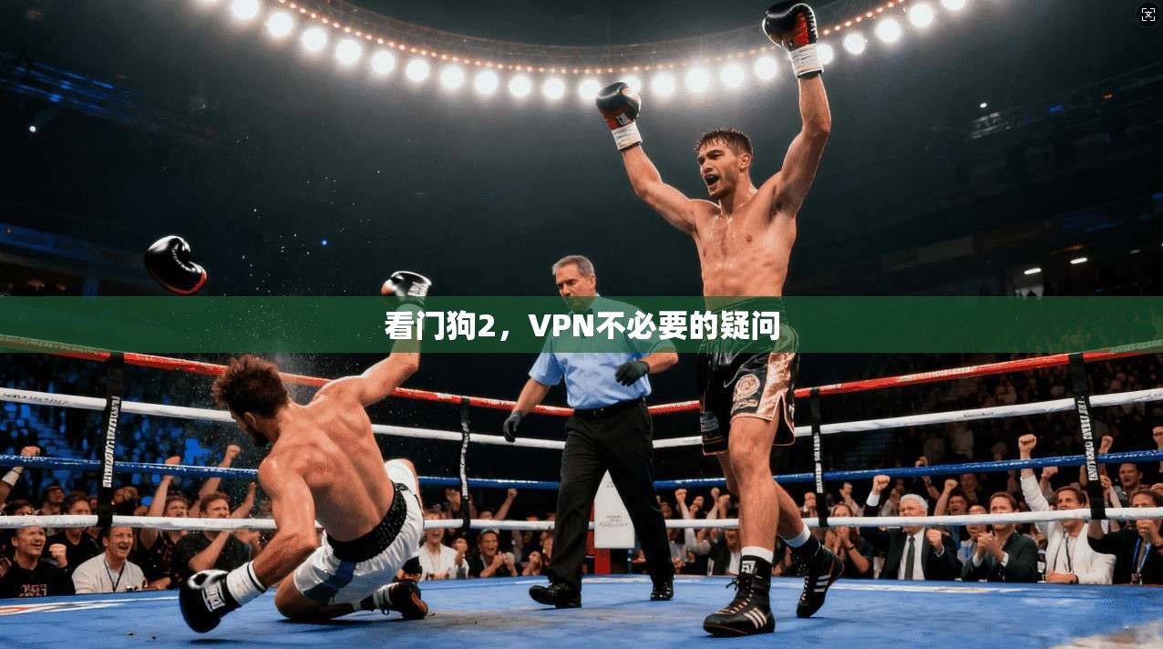看门狗2,VPN不必要的疑问 第1张 看门狗2,VPN不必要的疑问 第1张