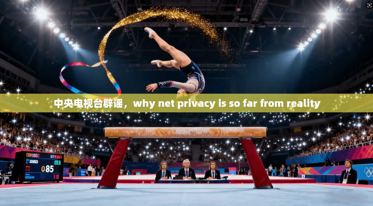 中央电视台辟谣,why net privacy is so far from reality 第1张 中央电视台辟谣,why net privacy is so far from reality 第1张