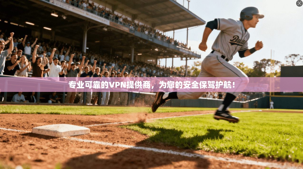 专业可靠的VPN提供商,为您的安全保驾护航! 第1张 专业可靠的VPN提供商,为您的安全保驾护航! 第1张