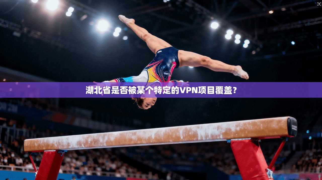 湖北省是否被某个特定的VPN项目覆盖? 第1张 湖北省是否被某个特定的VPN项目覆盖? 第1张