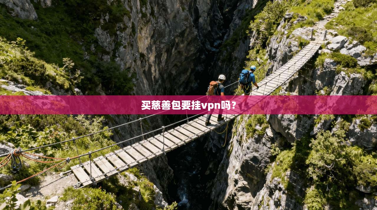 买慈善包要挂vpn吗? 第1张 买慈善包要挂vpn吗? 第1张