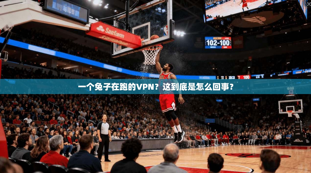 一个兔子在跑的VPN?这到底是怎么回事? 第1张 一个兔子在跑的VPN?这到底是怎么回事? 第1张