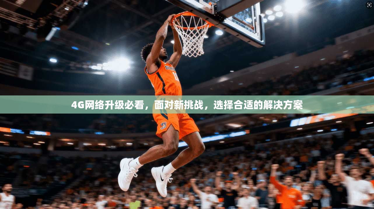 4G网络升级必看,面对新挑战,选择合适的解决方案 第1张 4G网络升级必看,面对新挑战,选择合适的解决方案 第1张