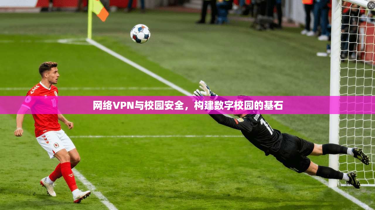 网络VPN与校园安全,构建数字校园的基石