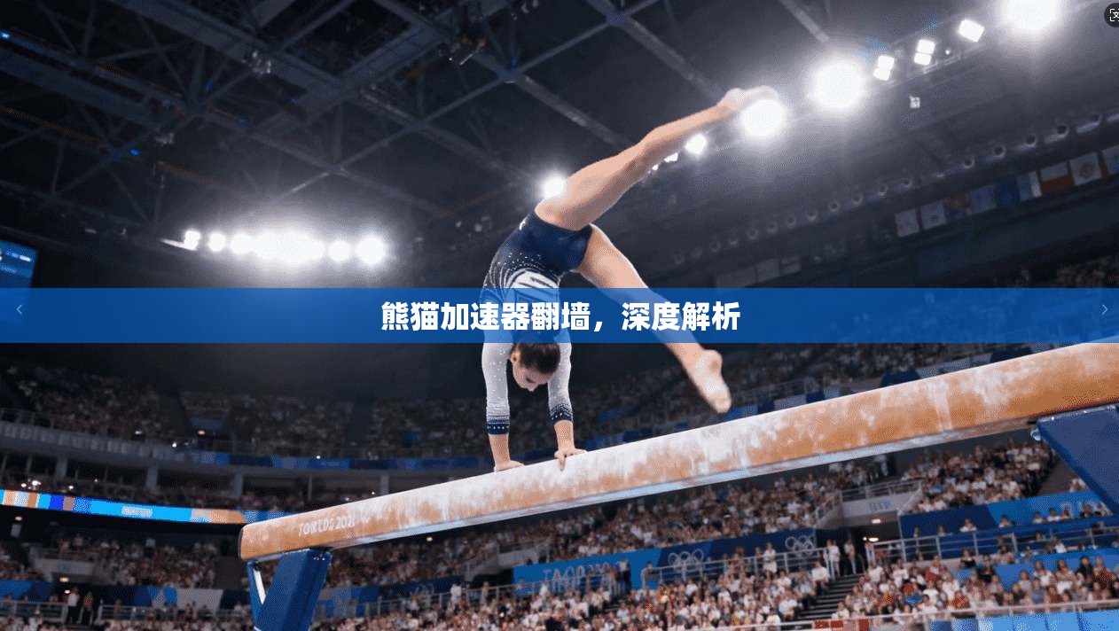 熊猫加速器翻墙,深度解析 第1张 熊猫加速器翻墙,深度解析 第1张
