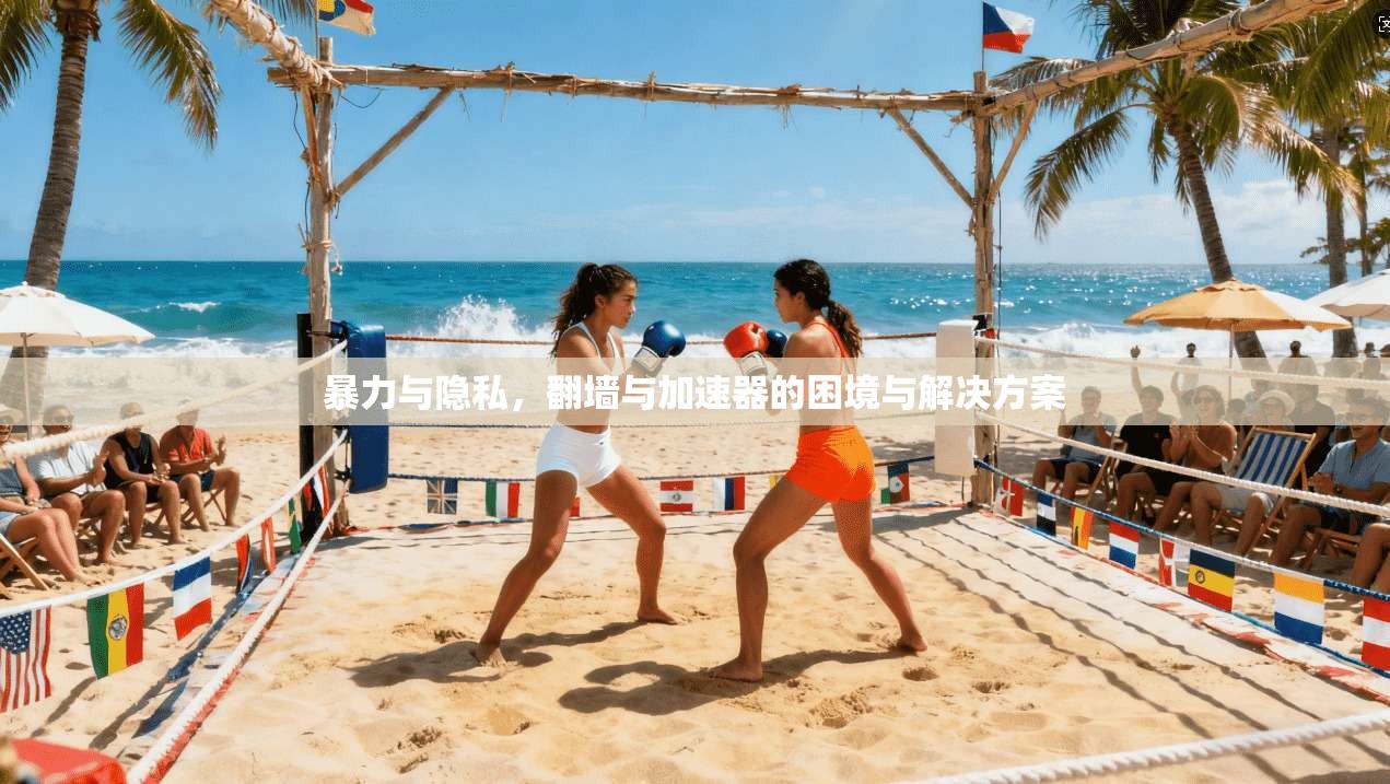 暴力与隐私，翻墙与加速器的困境与解决方案  第1张