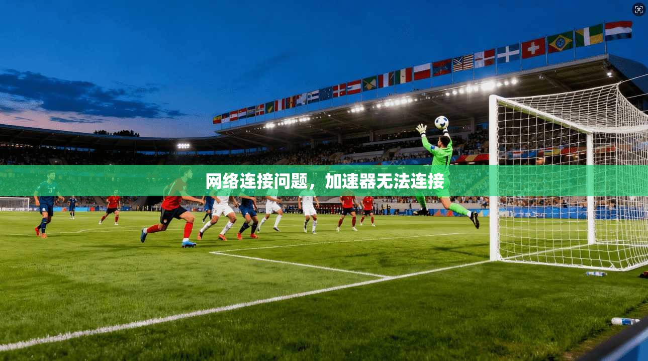 网络连接问题,加速器无法连接 第1张 网络连接问题,加速器无法连接 第1张