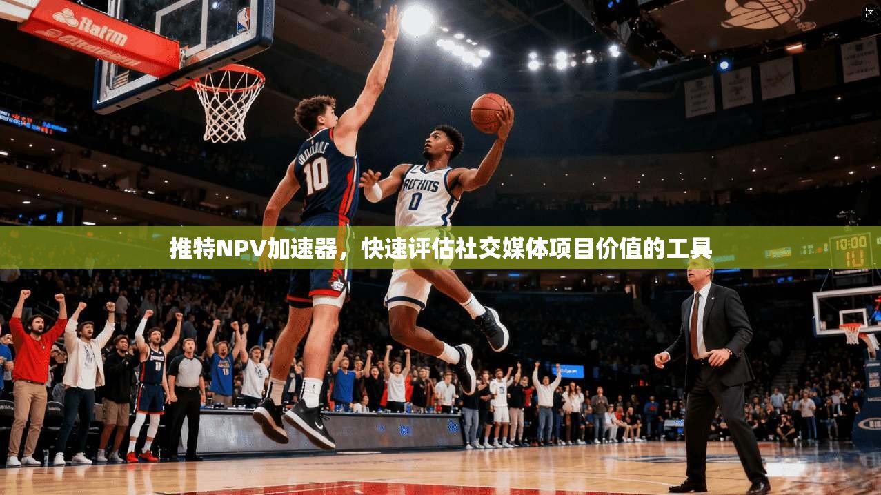 推特NPV加速器,快速评估社交媒体项目价值的工具