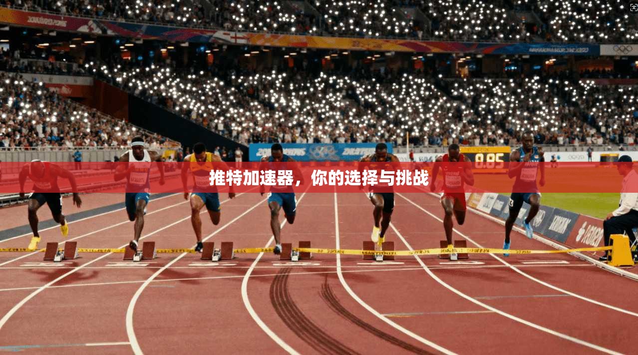 推特加速器,你的选择与挑战