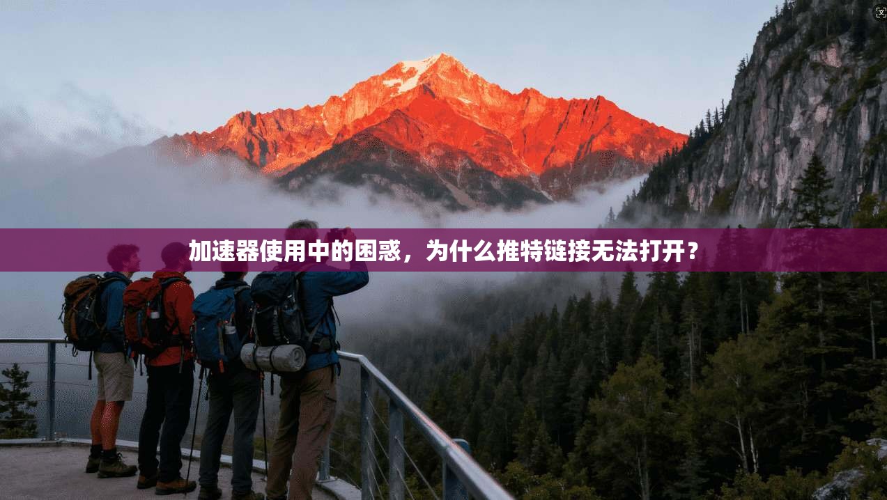 加速器使用中的困惑,为什么推特链接无法打开?