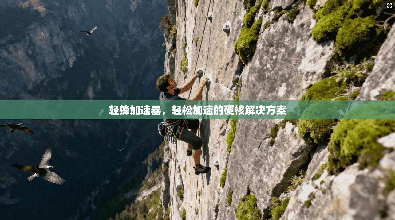轻蜂加速器,轻松加速的硬核解决方案