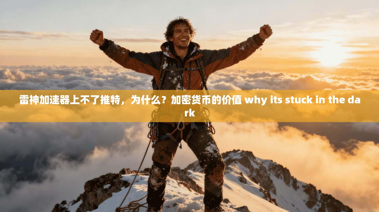 雷神加速器上不了推特,为什么?加密货币的价值 why its stuck in the dark