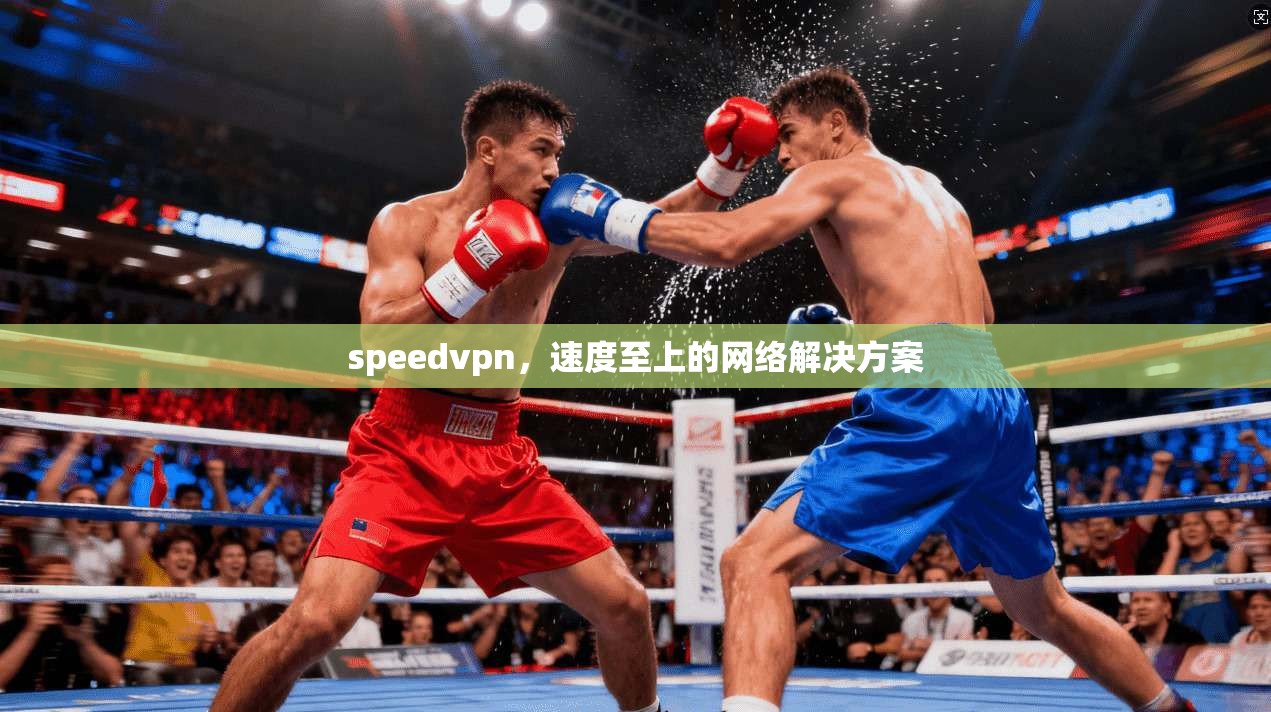 speedvpn,速度至上的网络解决方案