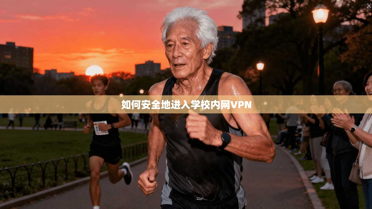 如何安全地进入学校内网VPN