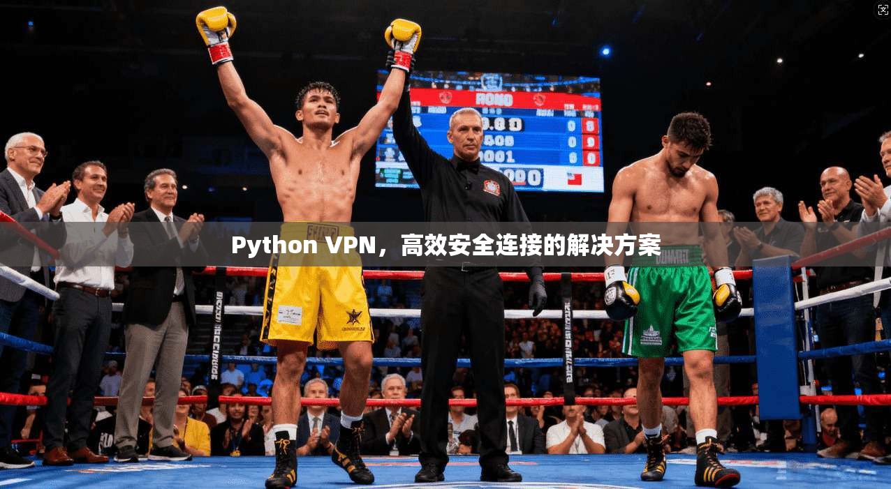 Python VPN,高效安全连接的解决方案